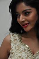 Sanam Shetty Photos at Srimanthudu Audio Release